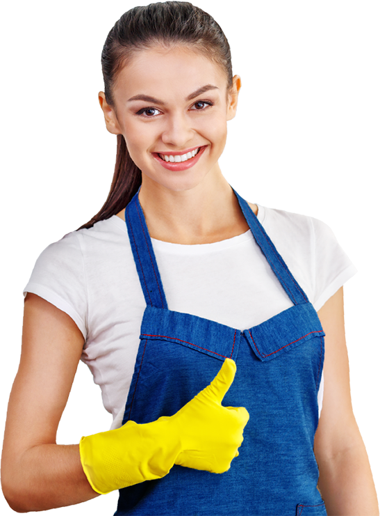 Cleaner